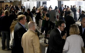 Salón de Vinos de Madrid 2015. KIKE PARA.