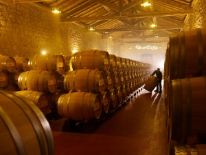 Bodegas Muga