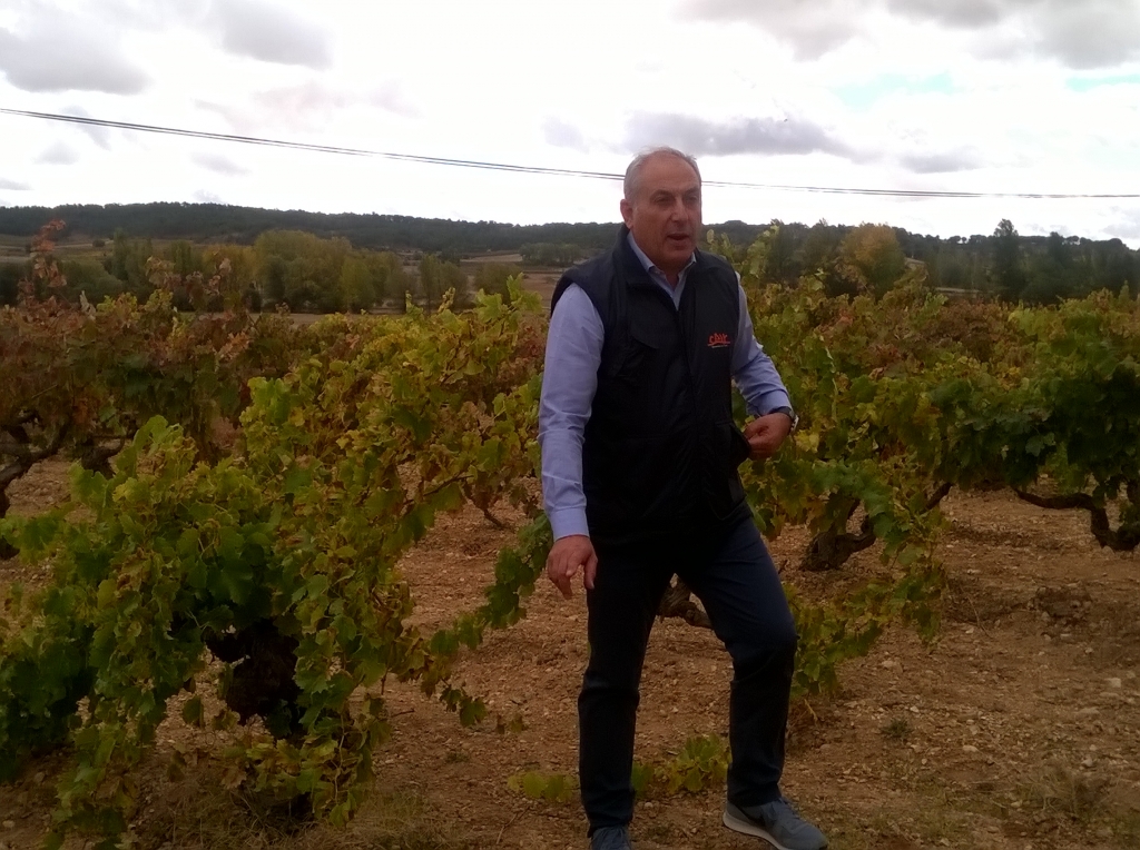 Juan Luis Cañas en uno de los viñedos que participan en Pendón de la Aguilera.