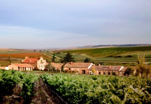 Finca Caserío de Dueñas (Rueda)